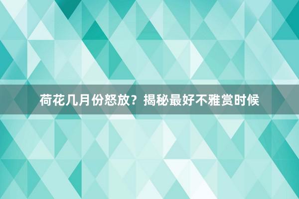 荷花几月份怒放？揭秘最好不雅赏时候