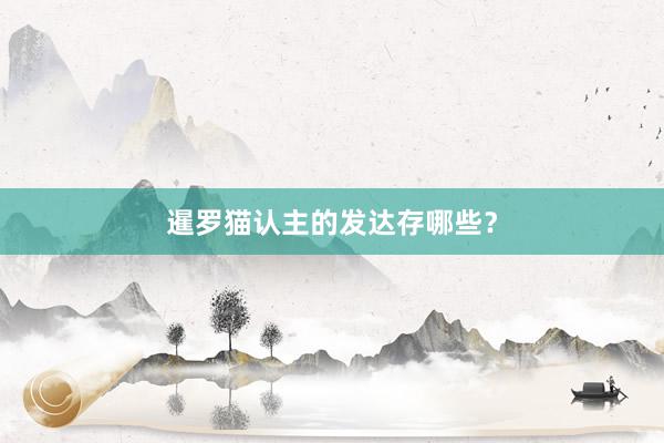 暹罗猫认主的发达存哪些？